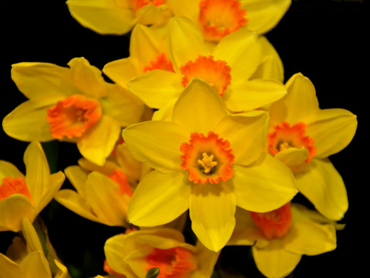 430686 (a): :1600x1200